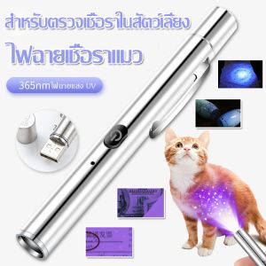 เครื่องมือสำหรับตรวจเชื้อราในสัตว์เลี้ยง - BHQ PET COD ไฟฉายแสง