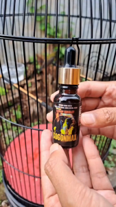 BMW Sogonmax Suplemen Vitamin Burung sogon pleci kolibri Menjadikan Burung Gacor