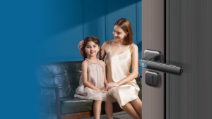 PHILIPS Home Access DDL101-3HBS - Double Lock Smart Door Lock
