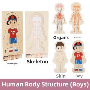 Early Education Montessori Wooden Puzzle Multilayer Human Figure Assembly Toy