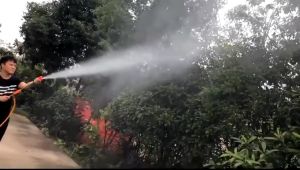 Long & Short Straight Gun Sprayer: A Comprehensive Guide