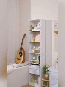 Multi-functional Storage Solutions: Cabinet Showcases & Bookshelf Organization