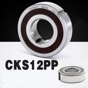 {\n    \"article\": \" Dual Keyway Bearing One Way Bearing CSK12PP 12 x 32 x 10mm