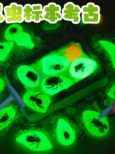 Archaeology Mining Toys Amber Insect Digging Gem Blind Box Dinosaur Fossil Digging Treasure Collection Kids Smashing Plaster Digging Music