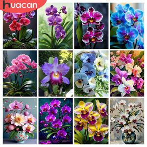HUACAN 5D Diamond Mosaic Orchid Flower Full Square Round Diamond Painting Floral Home Decor Picture Of Rhinestones Handmade
