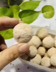 Hạt Xúc Tác Aluwat- Việt Nam- Lọc Phèn Dùng Trong Lọc Nước