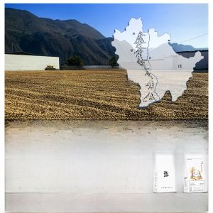 Dianlu Yunnan Small Bean Premium Coffee Beans Arabica Medium Roast Italian Blue Mountain Flavor 1000g Bagged Coffee Beans