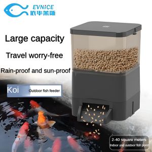 Solar & Battery Outdoor Fish Feeder - Auto Timer Rainproof for Ponds & Aquariums 4L/10L/20L