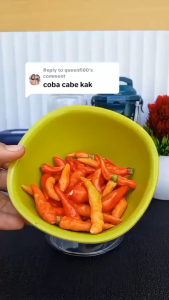 Blender Mini Portabel 700ml LUNA MFP-7 4 blade Chopper Penggiling Daging Buah Sayur blender kapsul