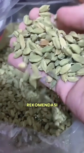 Kapulaga Hijau Premium / Kapulaga India Arab / Green Cardamom 5gr 10gr 25gr 50gr Original