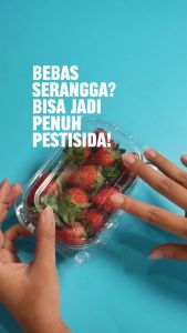 Dewa Kimia - Vegetable & Fruit Washing Aid - Bubuk pembersih untuk cuci sayur dan buah