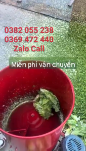 Máy Băm Củ Quả Đa Năng Công Suất 3KW