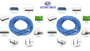 Dây Mạng - Dây Cáp Mạng Lan Internet Bấm Sẵn 2 Đầu Dài 1.2m 3m 5m 10m 15m 20m 25m 30m 40m 50m