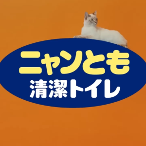 [JAPAN IMPORT] Nyantomo Cat Litter Deodorizer Spray Pet Odor Eliminator Cat Toilet Deodorizing Spray 猫砂除臭喷雾 270ml 猫厕所除味喷雾