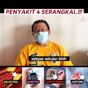 Danshen | Tasly Danshen Plus 30 Capsules | Herbal Heart Support Supplement for Blood Circulation | Original Health Booster Malaysia