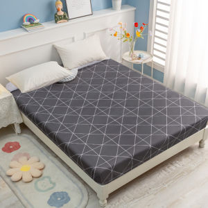 Cat Scratch Resistant Waterproof Mattress Protector