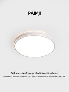 PAIMIJI | Smart Stylish Ceiling Light