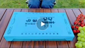 Disposable barbecue stove Outdoor household portable BBQ rack picnic small tools