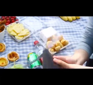 Insect Fly Repellent Fan USB Rechargeable Outdoor Automatic Fly Trap Mosquitoes Insect Killer