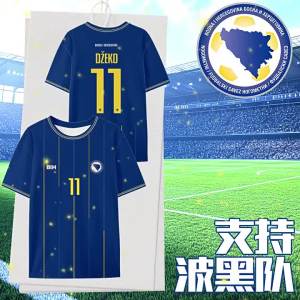 HanWei | World Cup Player Edition Fast-Drying Football T-Shirt