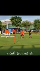 เสาปักพื้น สนามหญ้าจริง ( ราคาต่อชิ้น )