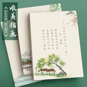 Adult Cursive Writing Practice Book Handsome Male Female Calligraphy Style Beautiful Font Penmanship Exercise Book