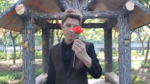 Alat Sulap Folding Rose Memunculkan Bunga