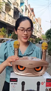 Loa Bluetooth Karaoke Mắt Cú Sdrd Sd-306 Kèm 2 Micro Cực Hay