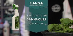 CANNA CURE | Foliar Spray Pest & Disease Control | สเปรย์ป้องกันศัตรูพืช