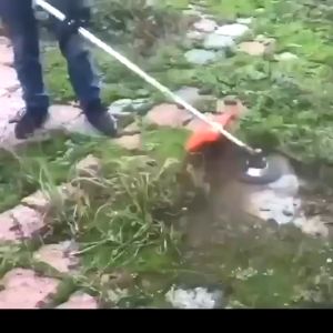 Steel Wire Wheel Garden Weed Brush Lawn Mower Grass Eater Trimmer Brush Cutter Tools Garden Grass Trimmer Head Weed Brush