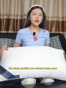 Cotton Pillow Bantal Tidur Hotel Hilton Pillow Comfort Sleeping Pillow Bedding bolster sleep pillow bantal