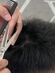 Fenice | Professional Barber Shears Set