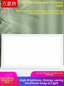 WANLIYANG | LED Light Panel 300x900mm
