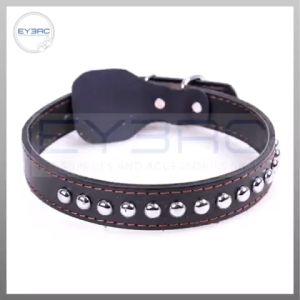 Adjustable Rivet Flat Stud Pet Collar