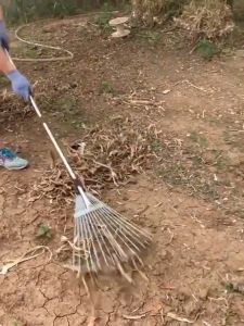 สกรู้แบบเครื่องมือ: คราดตะกาวมือเสือ, คราดหญ้า, คราดถากหญ้า, คราดเหล็ก, ปรับระดับ, คราดเหล็กปรับระดับ, ผลิตจากสเตนเลสสตีลคุณภาพสูง, แข็งแรง, Stainless steel telescopic rake agricultural lawn gardening wire rake sweeping leaves, crawling deciduous, weeding