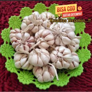 SINCO BAWANG PUTIH BAWANG KEMASAN 500gr Kemasan 1kg
