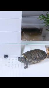 YEE Turtle Filter Low Water Level Circulation Pump With Trickle Filter Box for Turtle Tank Bottom Suction 3in1 Water