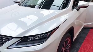 [TẶNG KHĂN VÀ MÚT XỐP] Sáp Phủ Bóng Xe Ô Tô - Giúp Chống Nước Bẩn Hạn Chế Bụi Bẩn Làm Mới Sơn Xe Hơi Hiệu Ứng Đẹp - Dsq 300g - ANZEN AUTO