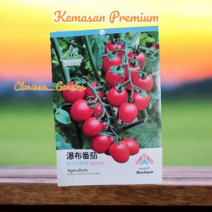 (KEMASAN PREMIUM)BIJI/BENIH TOMAT CHERRY MERAH IMPORT (isi -+100 butir benih)