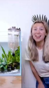pipet ikan upload.mp4