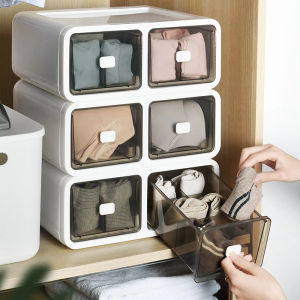 Multi-compartment Dustproof Storage Box