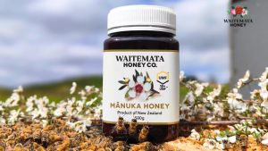 Madu Clover Waitemata 500G (Diimport dari New Zealand) - Waitemata Clover Honey 500G (Imported from New Zealand)