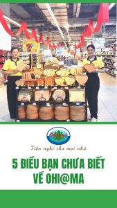 Chổi Nhựa Quét Nước Sàn Nhà Ohiama Plastic Water Broom HM-1518 | Dụng Cụ Vệ sinh Chăm sóc Nhà Cửa