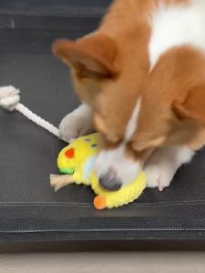 FURRYBUM | Companion Training Squeaky Chew Toy