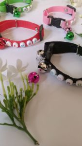 kalung kucing Custom nama webing polos