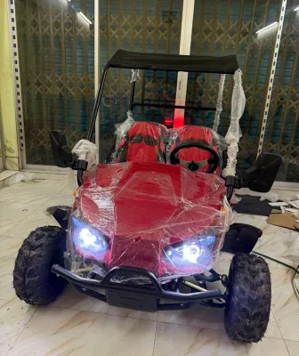 Electric 2 Seater Go Kart. 4-wheeler Buggy UTV Golf Cart. Brand NEW.