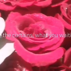 48cm 5Yards Valentines Day Bouquet Wrapping Pearl Snow Yarn Flowers Packing Paper Wedding Party DIY Florist Supplies