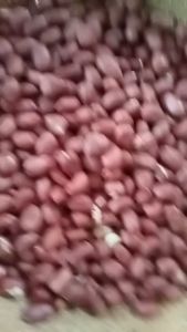 Lạc đỏ hạt to hàng víp lựa từng hạt 1kg