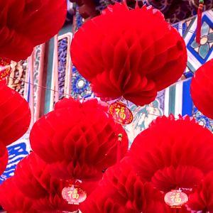 Combo 50 cái lồng đèn đỏ chữ Phúc đường kính 25cm 20cm 15cm13cm trang trí Tết lễ hội đám cưới -Lồng đèn chịu nước-Tặng cước