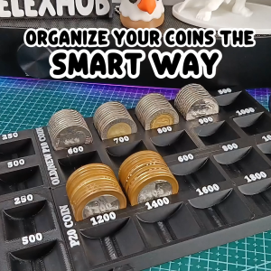 ELEXHUB COIN TRAY FOR PHILIPPINE PESO COINS